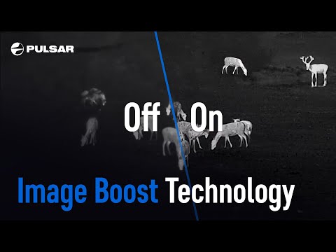 Pulsar Thermion XP50 Thermal Imaging Scope image boost technology video