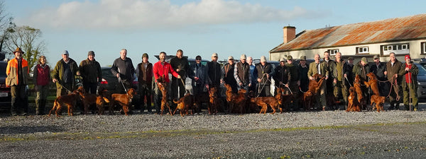 RED MILL’s Guest Blog - 2021 European Championship for Irish Red Setters on Snipe