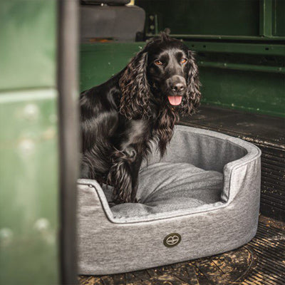 Le Chameau Dog Bed in Grey