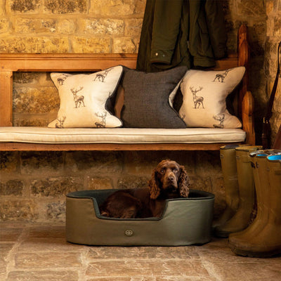 Le Chameau Dog Bed in olive gundog beds available from red mills outdoor pursuits store