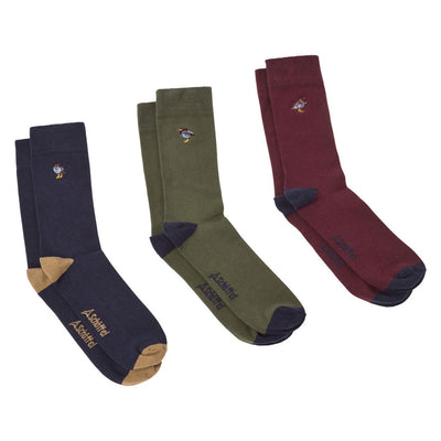 Schoffel Men's Combed Cotton Sock (Box of 3) in French Partridge Navy Mix